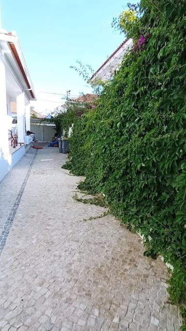 Private Small Studio In Costa De Caparica Ngoại thất bức ảnh